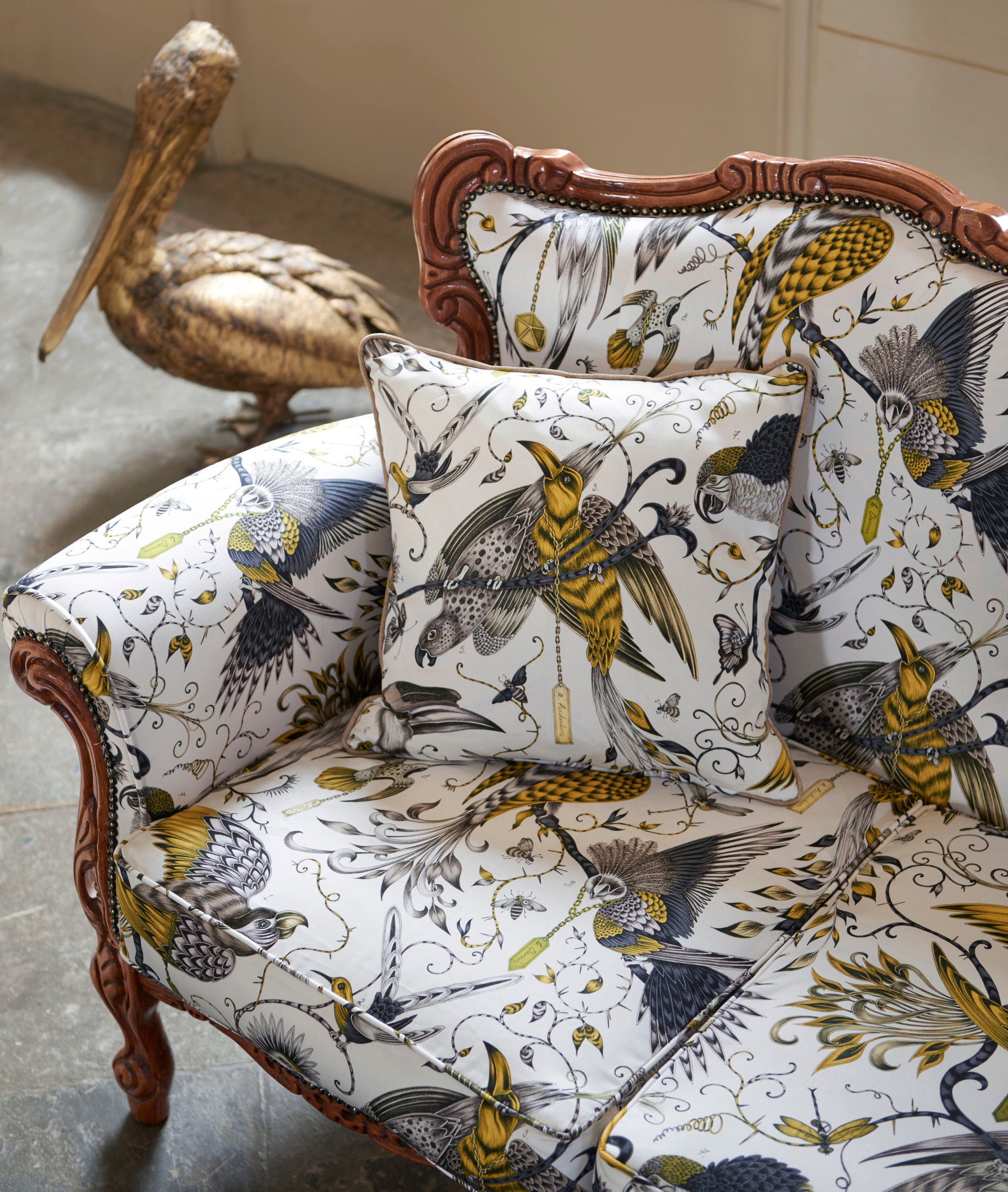 Emma Shipley Animalia - £54 p/m