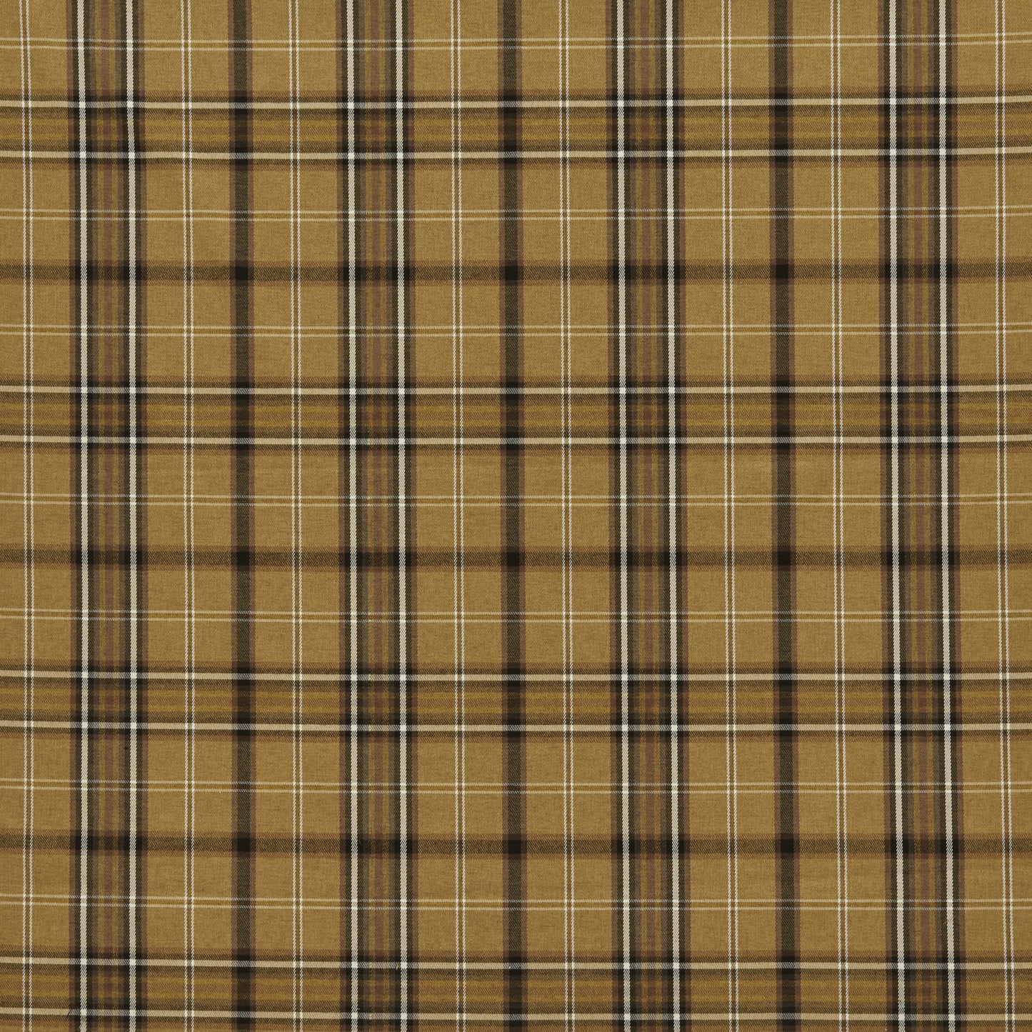 Cairngorm Tartan Ochre