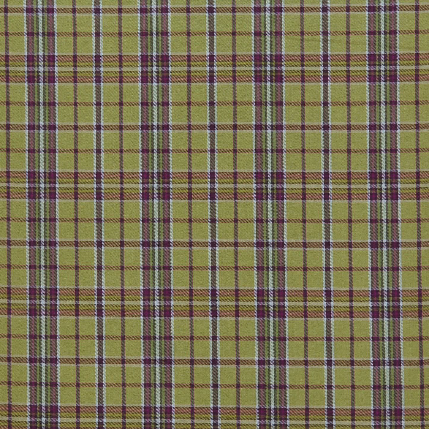 Cairngorm Tartan Pistachio