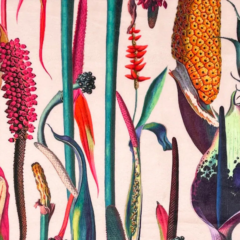Botanica - In the Beginning