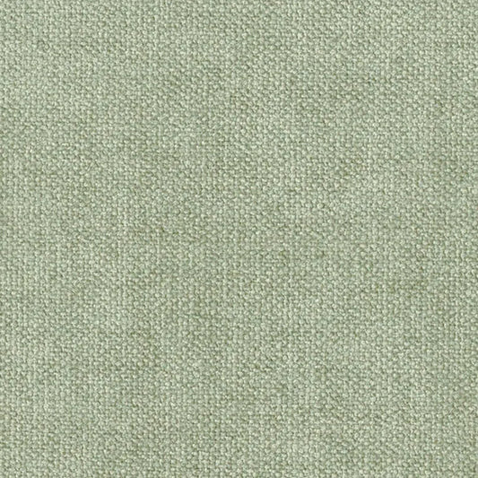 Campania Mint Condition