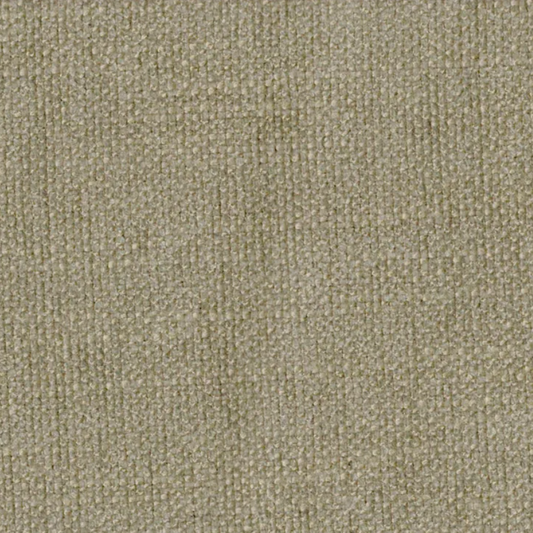 Concerto Camel Train