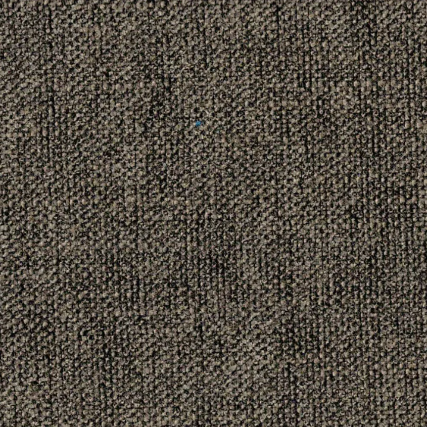 Concerto Cocoa Powder