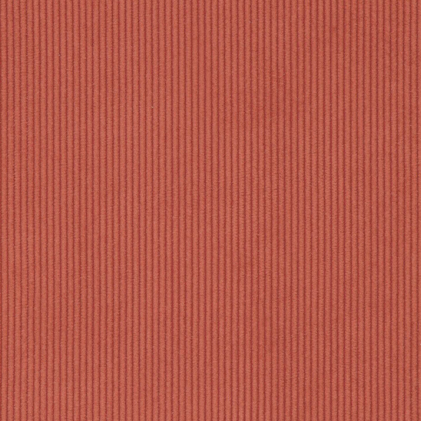 Cord Coral