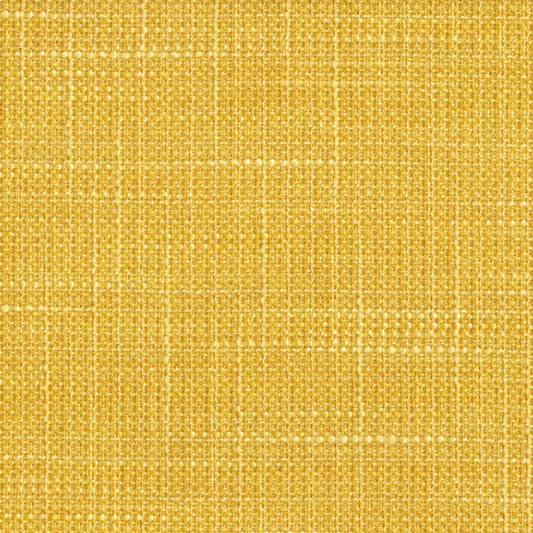 Enzo Walking on Sunshine