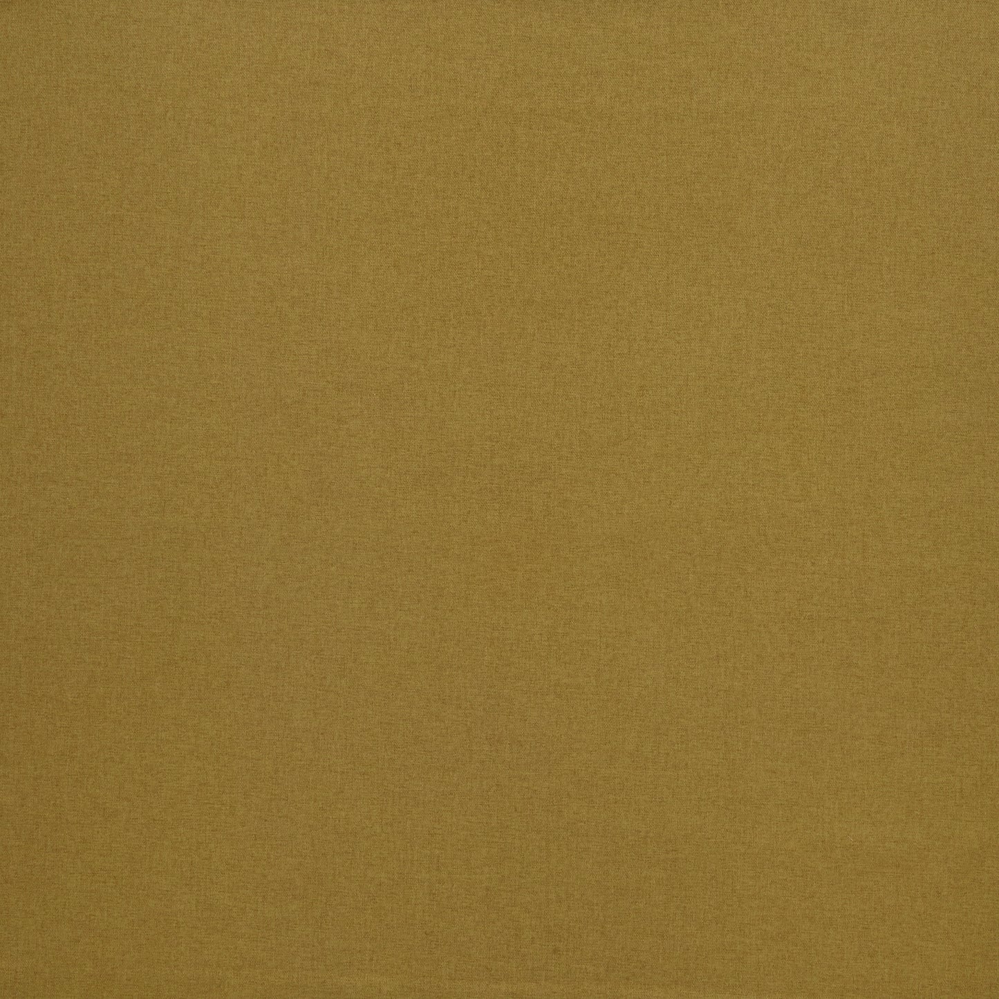Cairngorm Plain Ochre