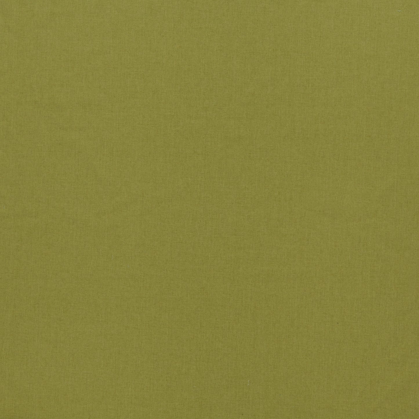 Cairngorm Plain Pistachio