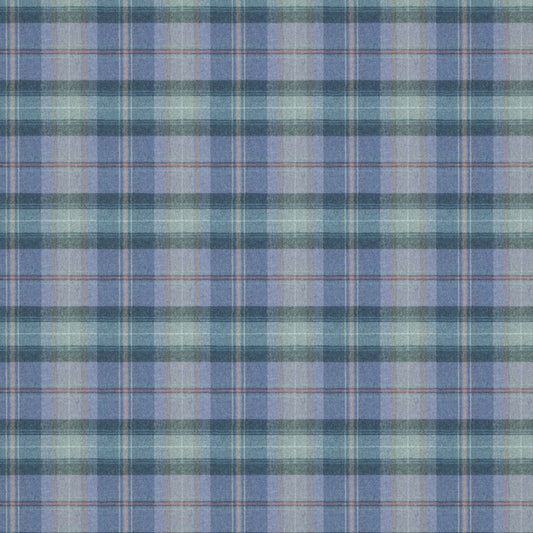 Beachcomber Southerness