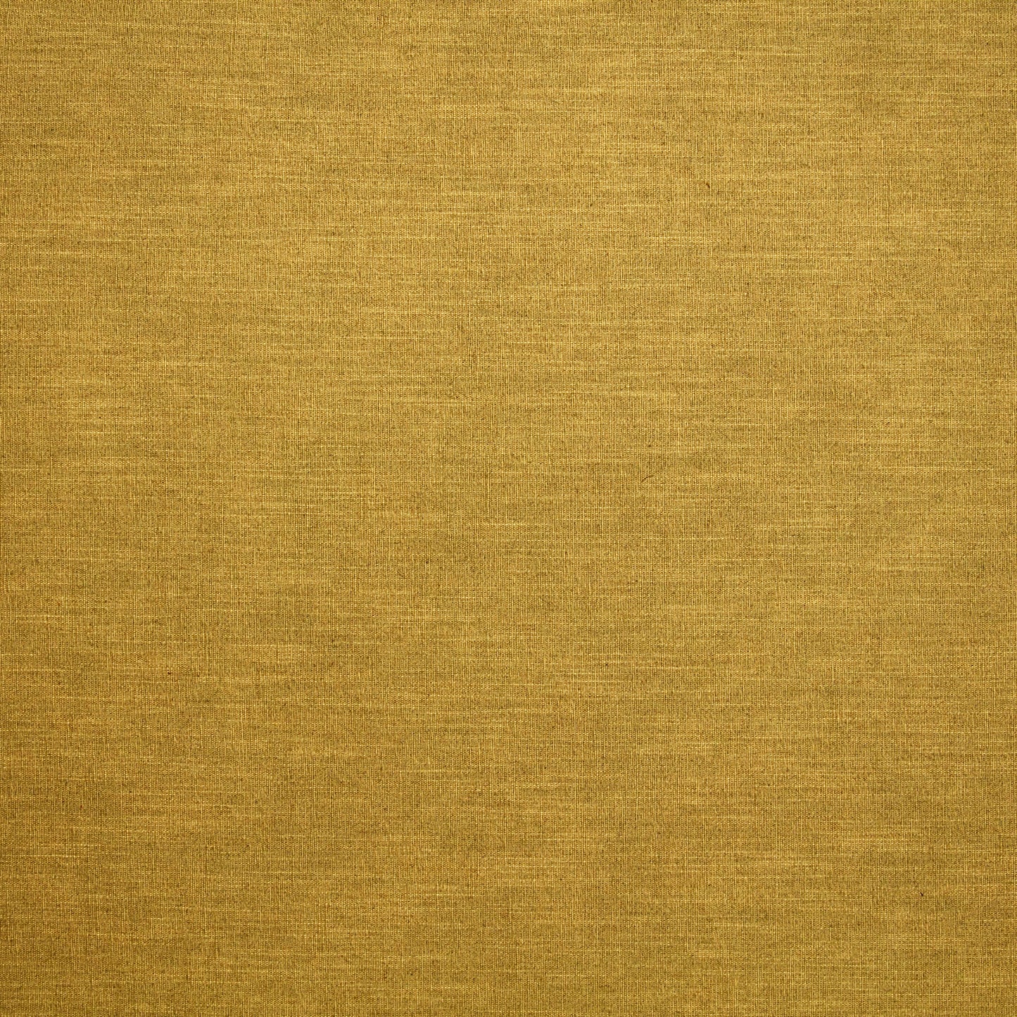 Luna Maize