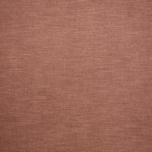 Luna Wild Rose