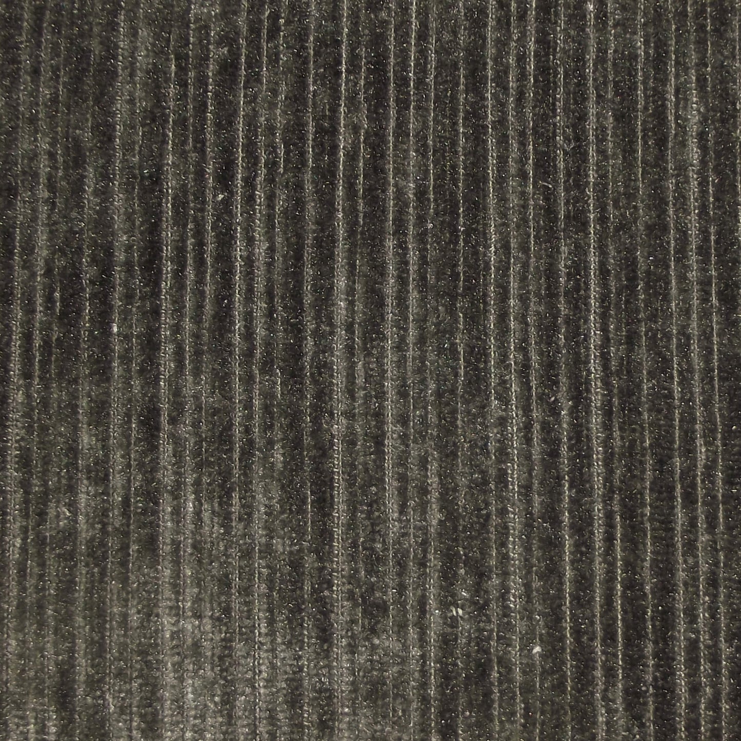 Pastiche Rib Metal