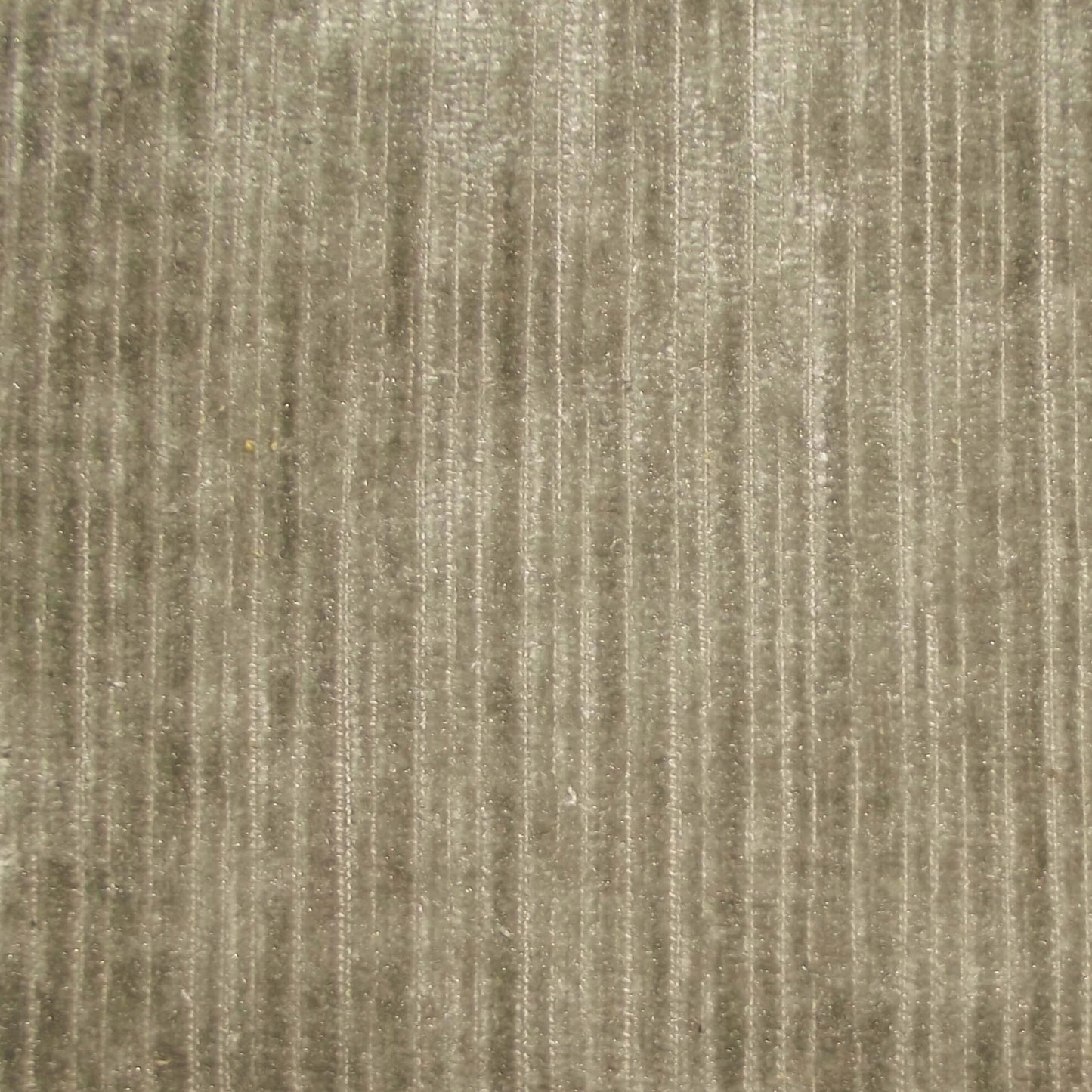 Pastiche Rib Mist