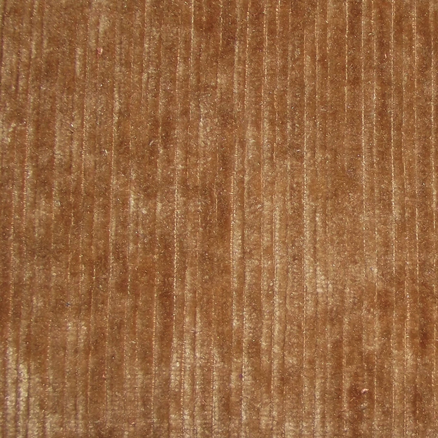 Pastiche Rib Nutmeg