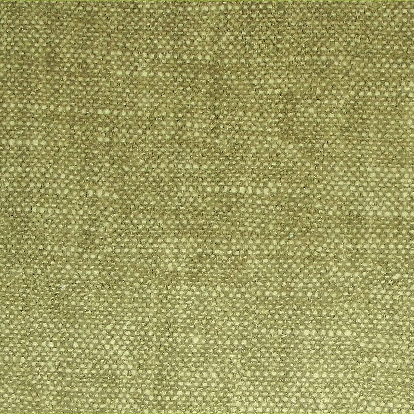 Raffles Lichen