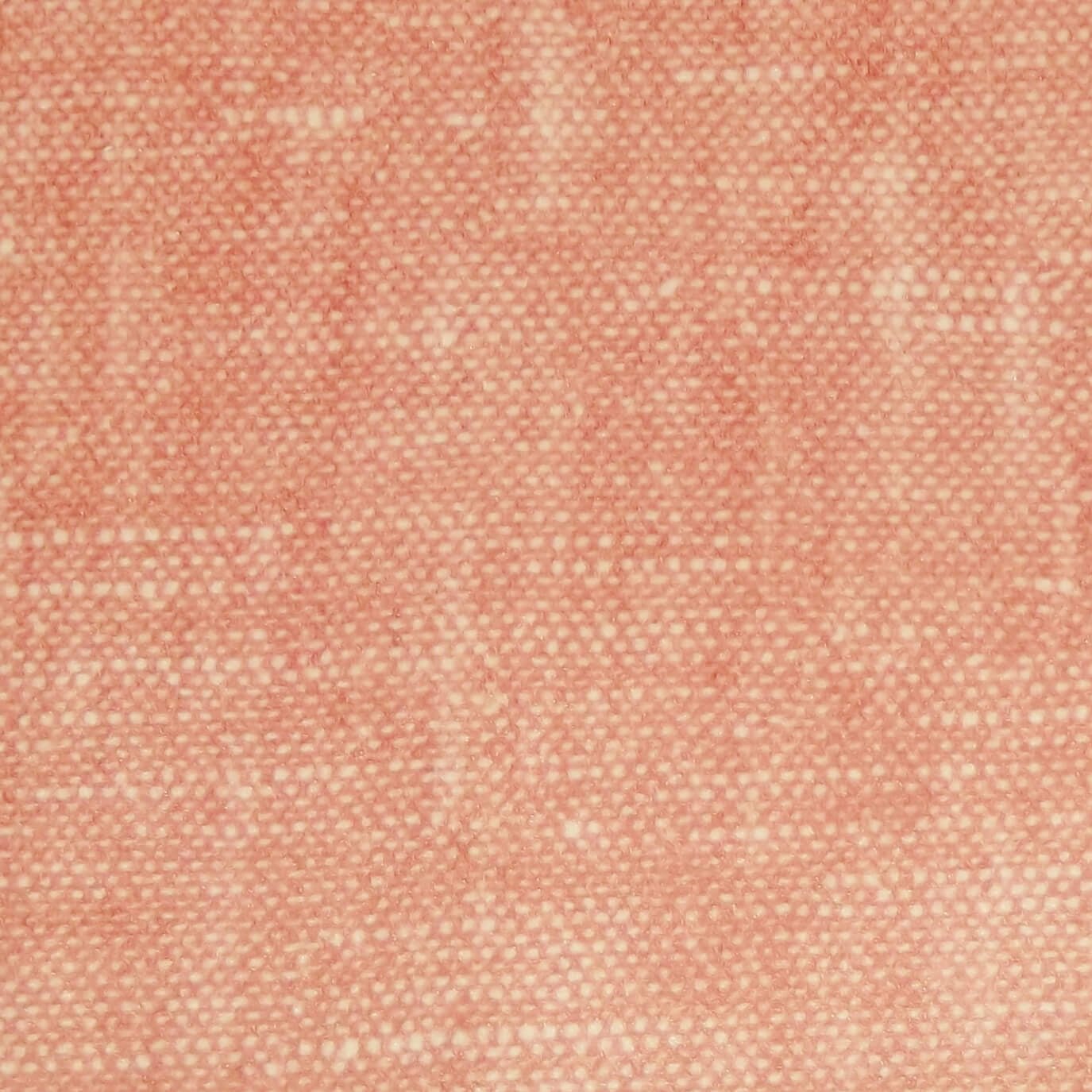Raffles Salmon