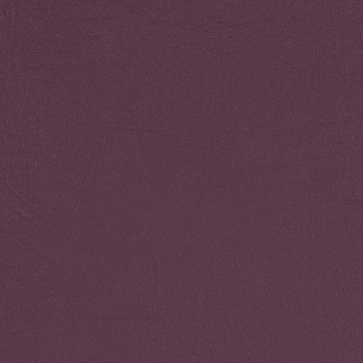Taurus Aubergine