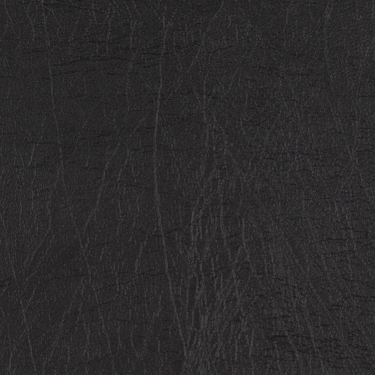 Taurus Black