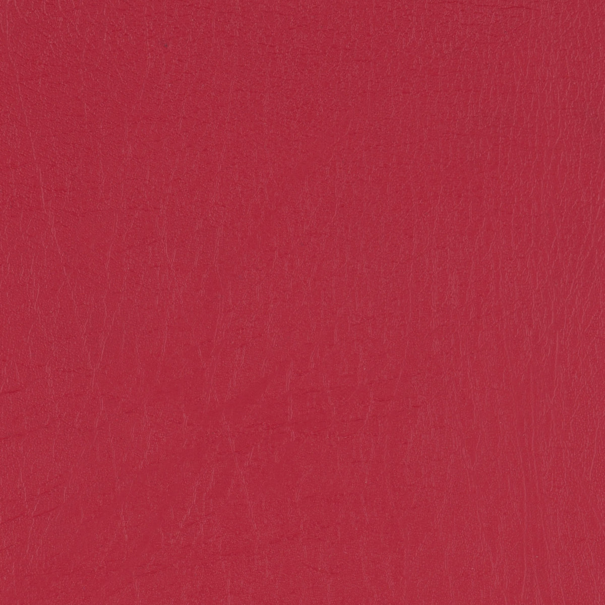Taurus Carmine