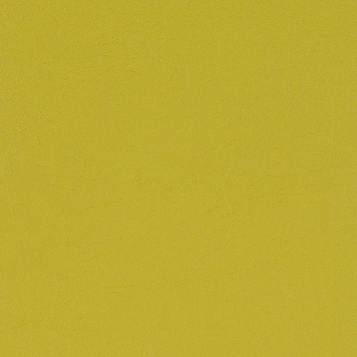 Taurus Citrus