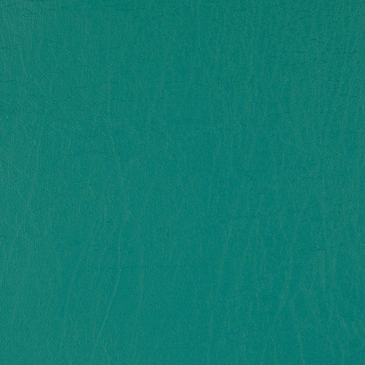 Taurus Forest