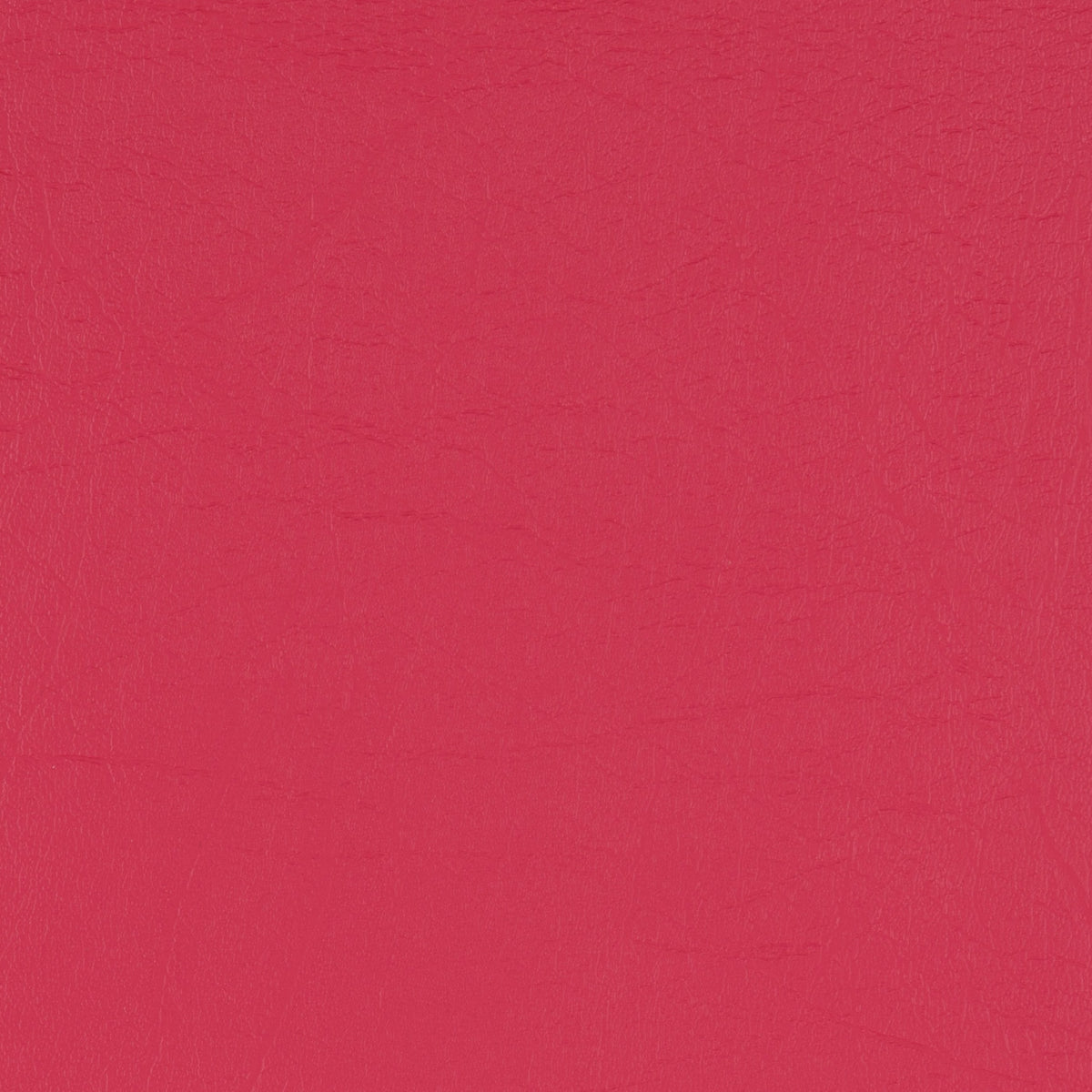 Taurus Rose