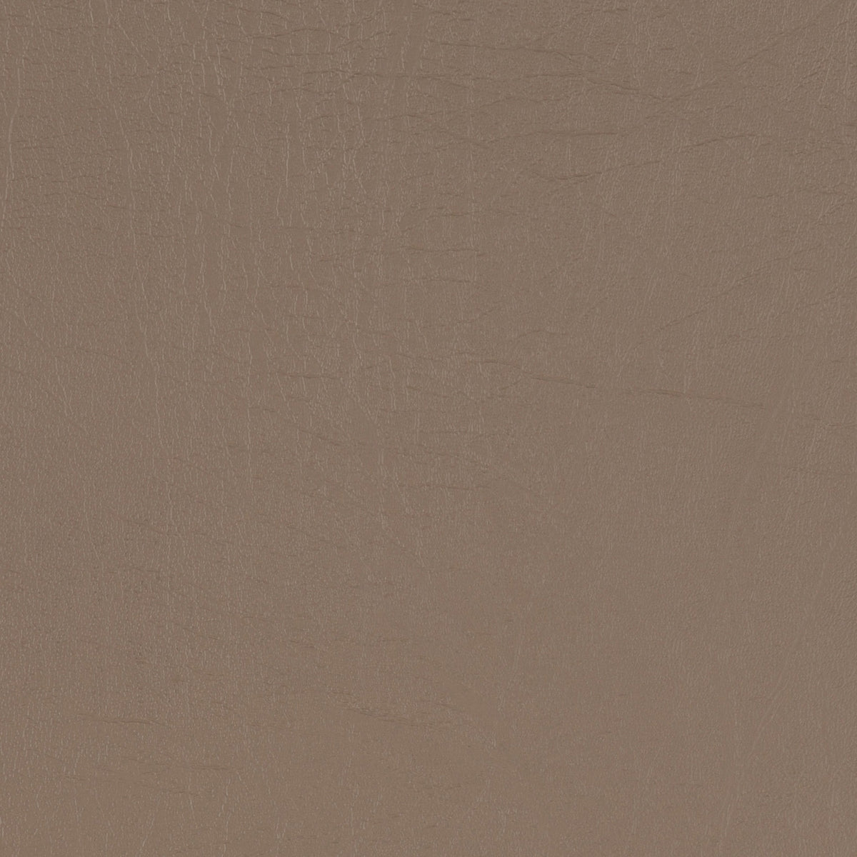 Taurus Taupe