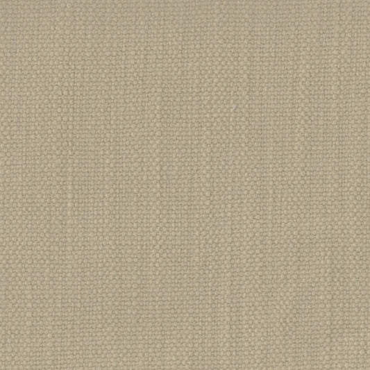 Windermere Motty's Coat