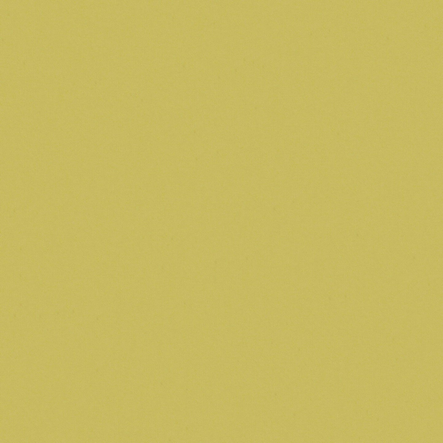Zion Citrus