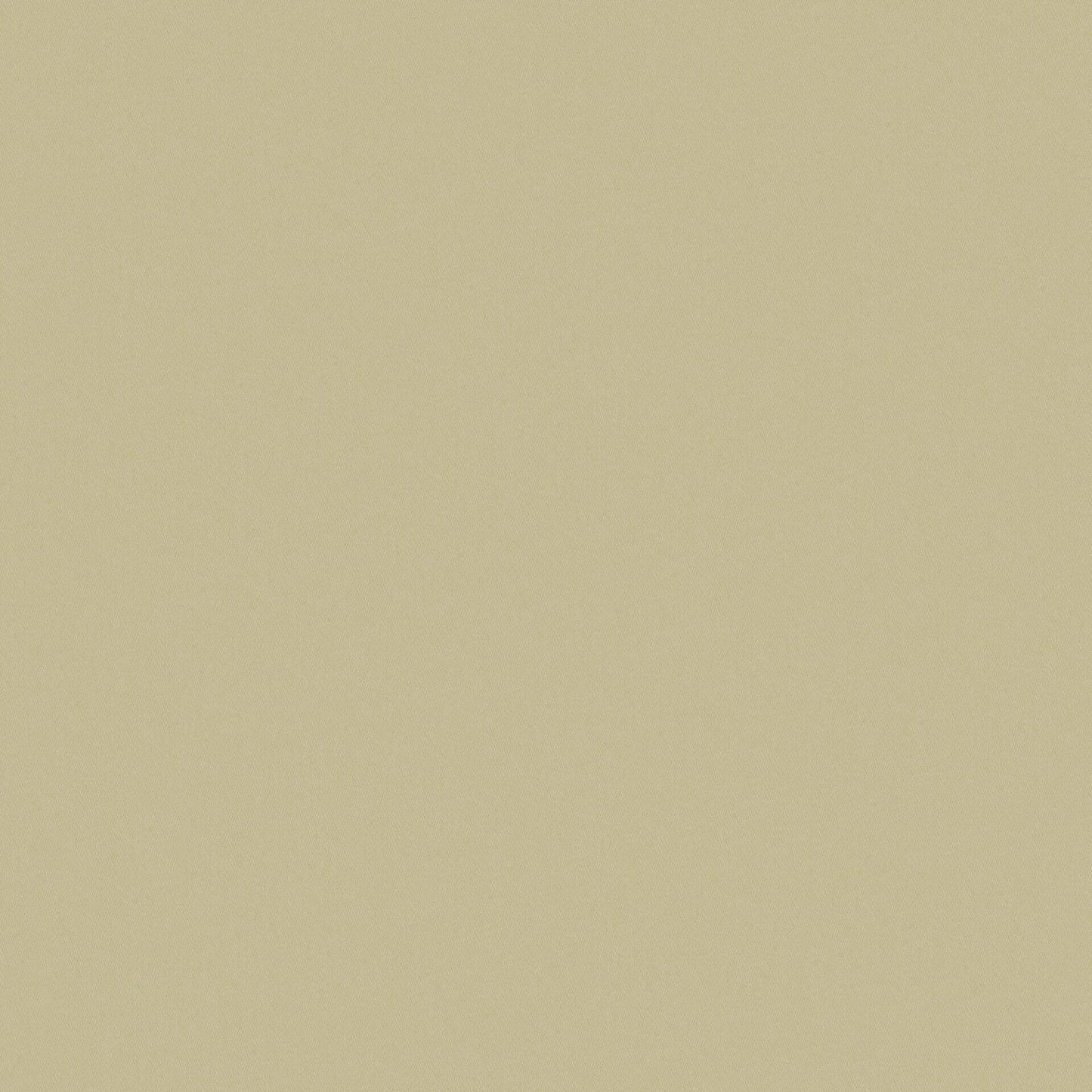 Zion Pistachio