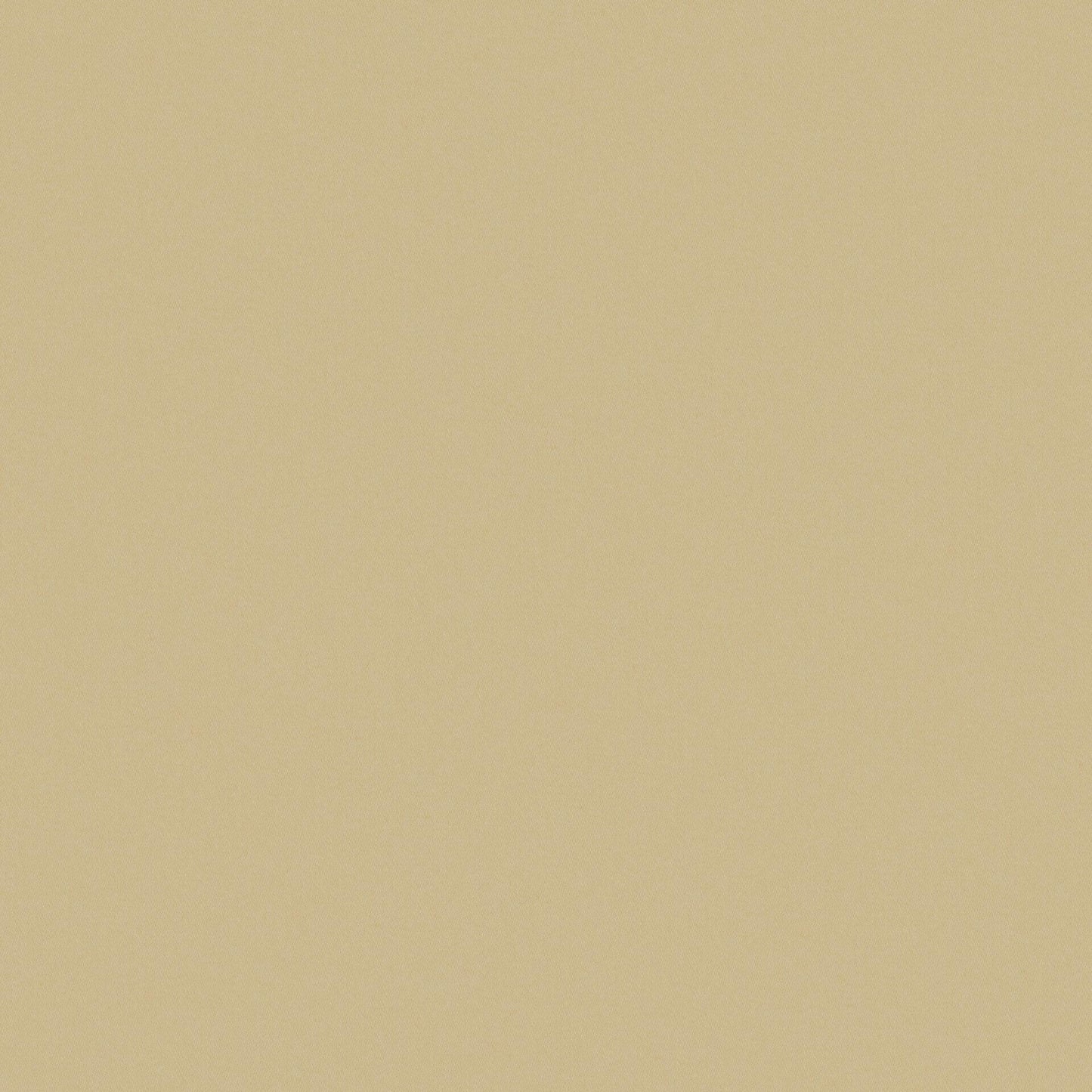 Zion Sand