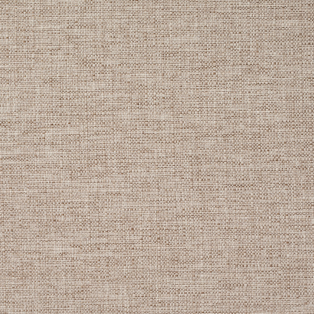 Zonda Cotton