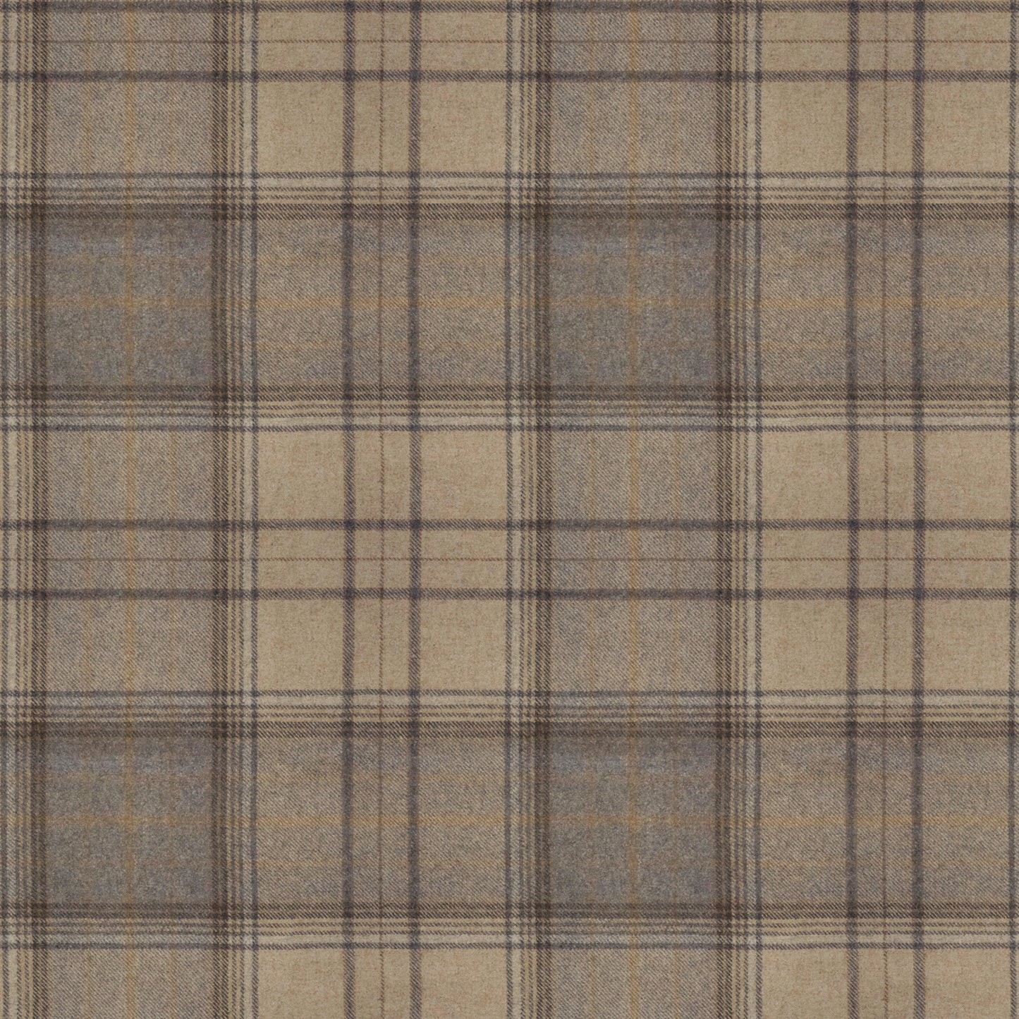 Bainbridge Grey