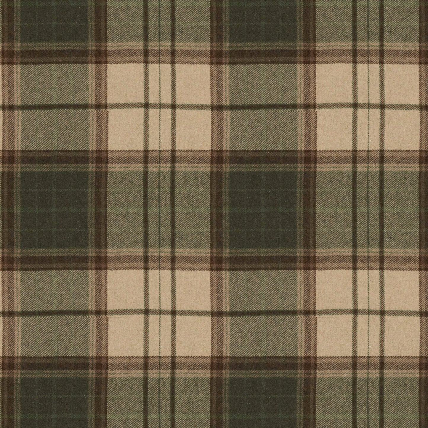 Bainbridge Olive