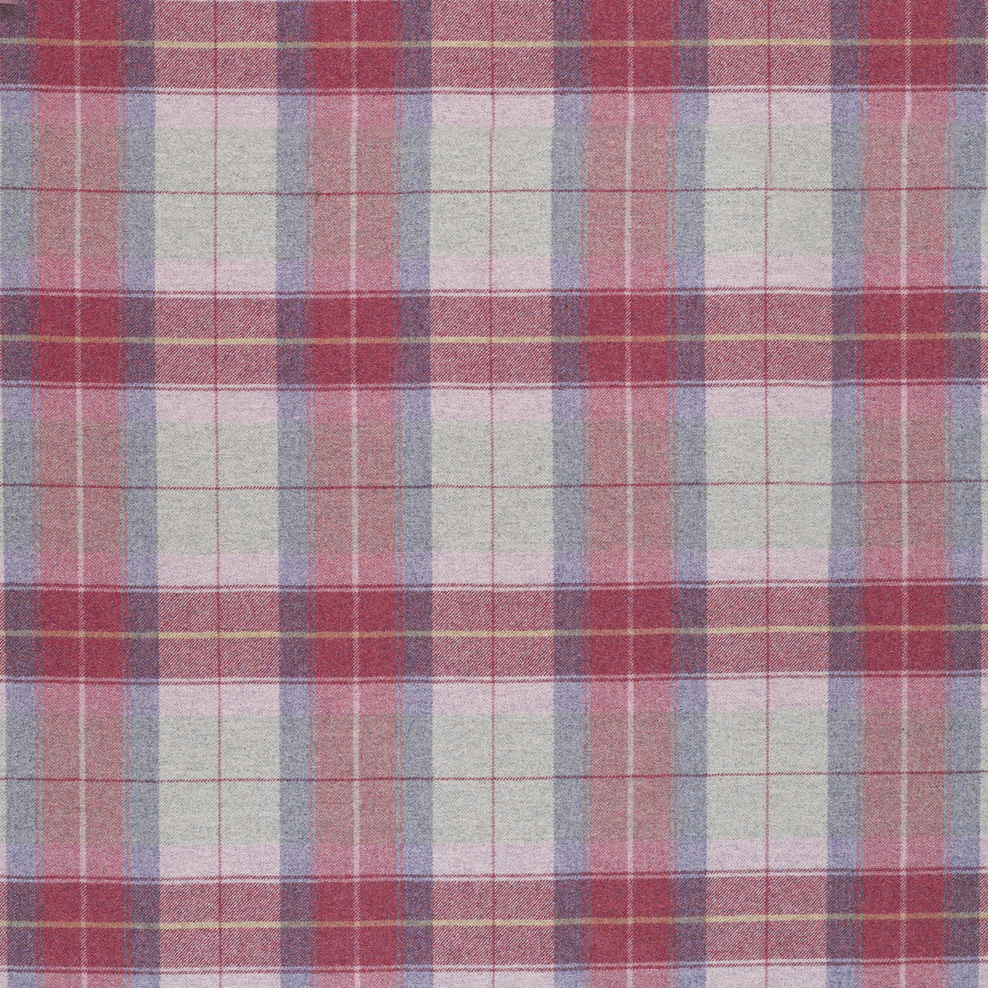 Eltham Blush