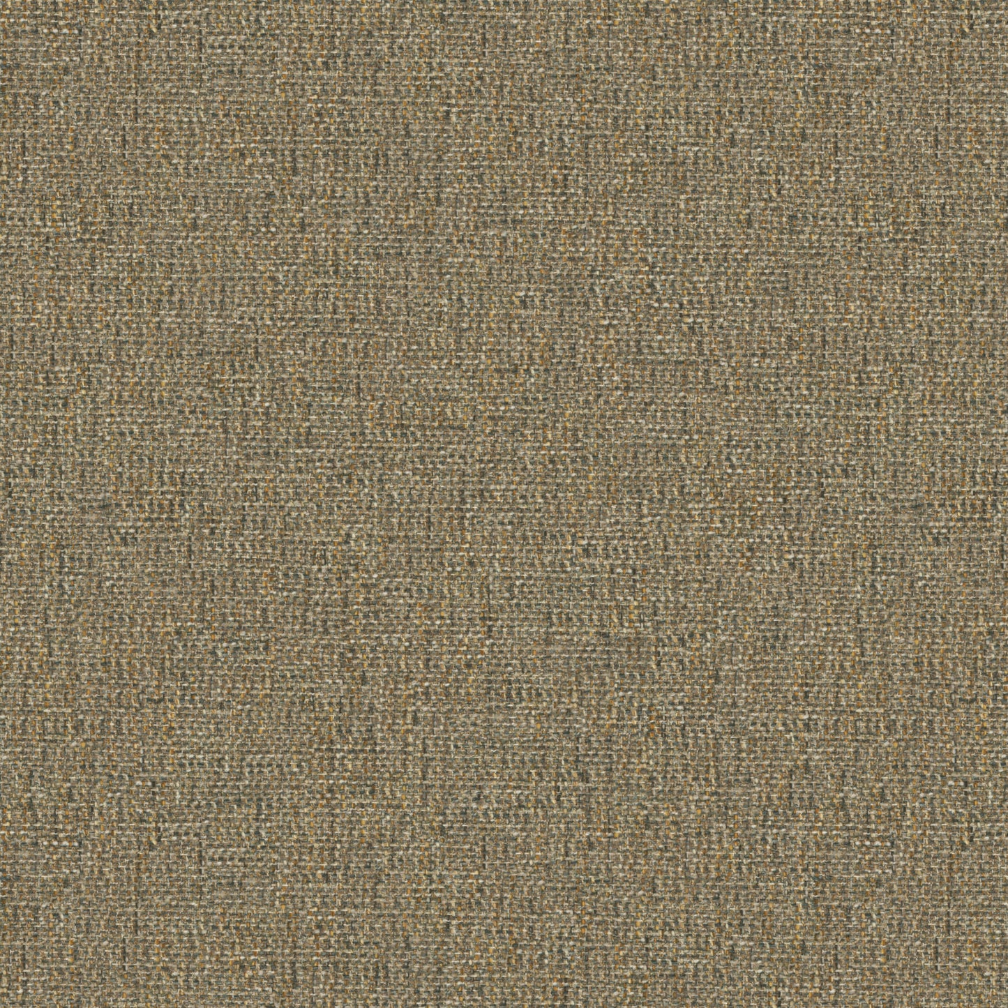 Tamar Hickory