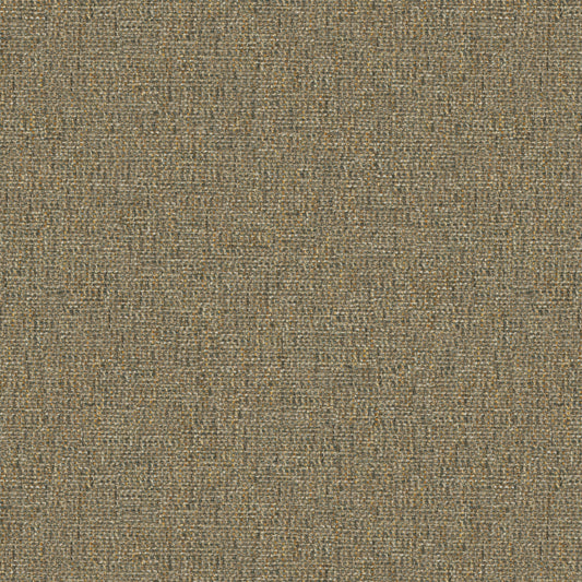 Tamar Hickory
