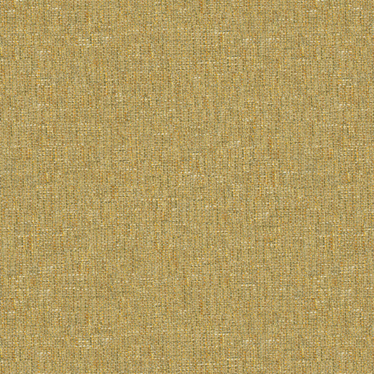 Tamar Sandstone