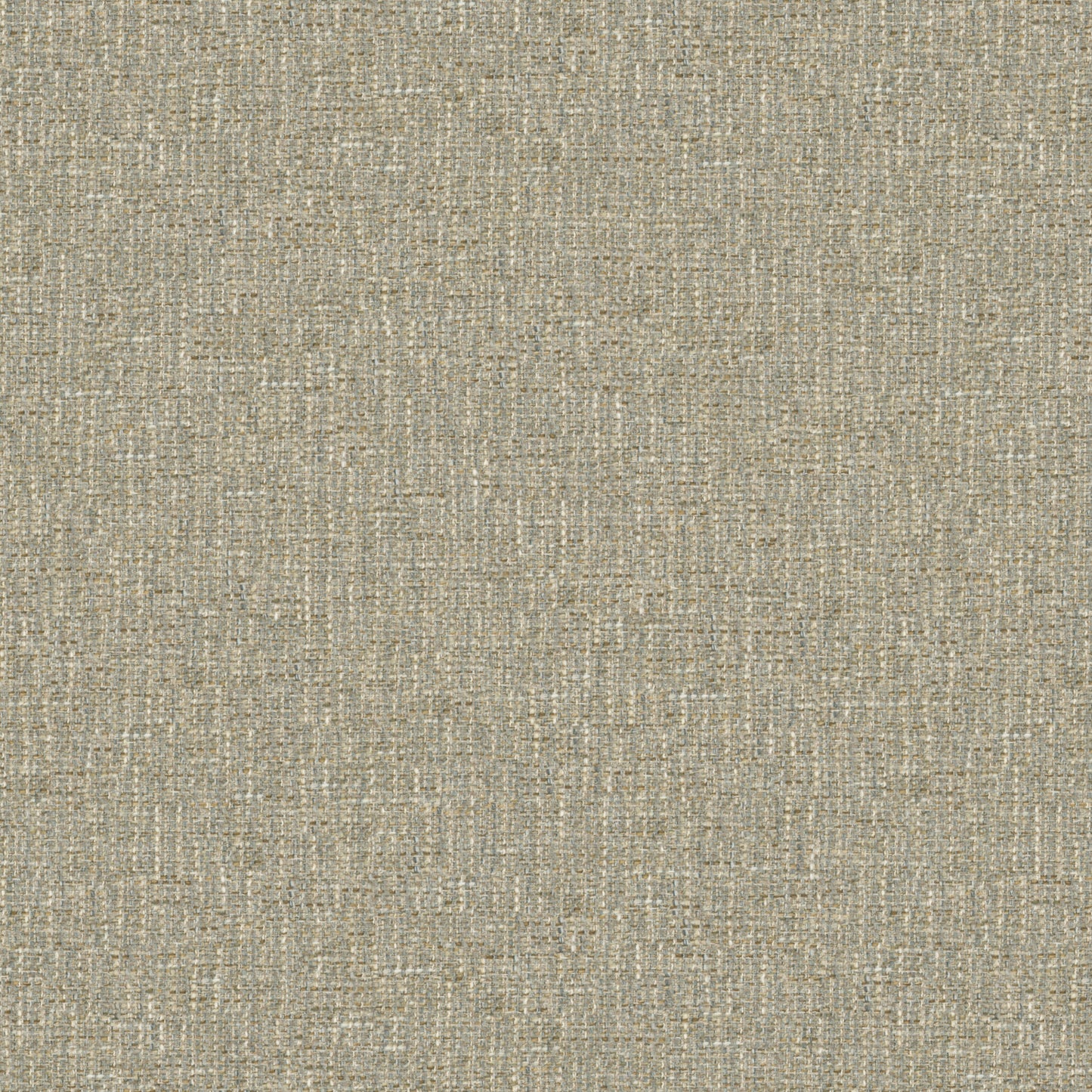 Tamar Dove Grey