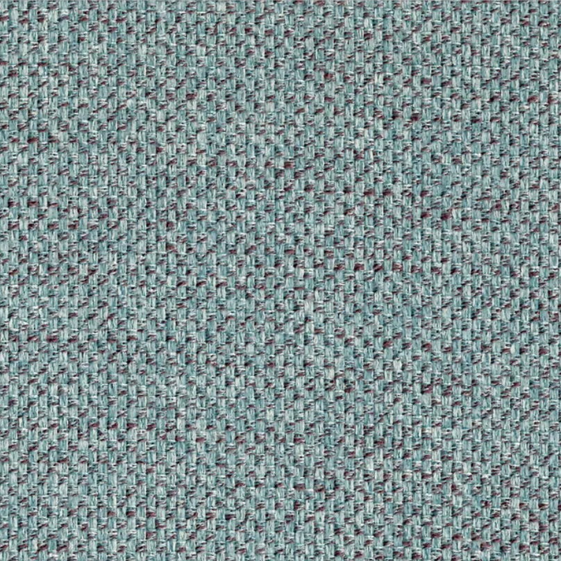 Pronto Forget-Me-Not