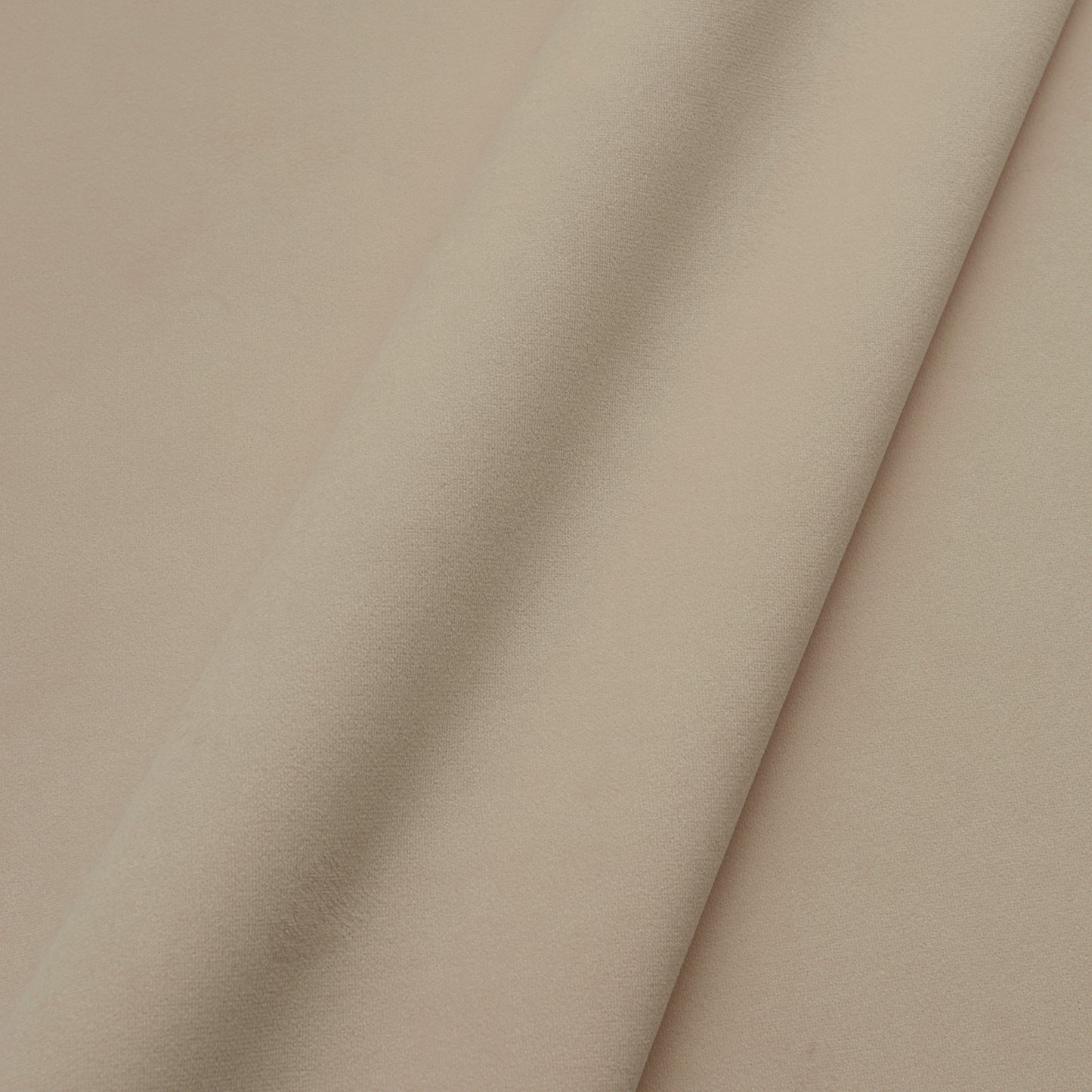 Moleskin Biscotti