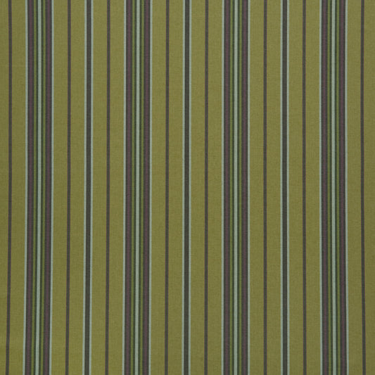 Cairngorm Stripe Pistachio