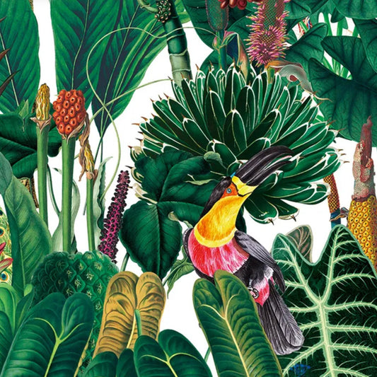 Botanica - Birds of Paradise