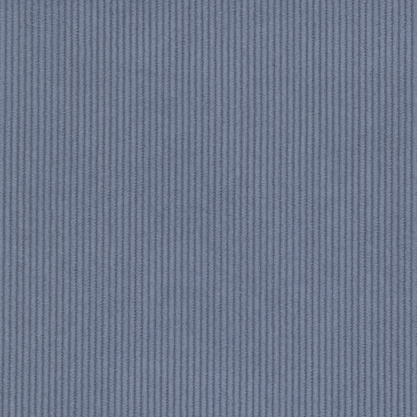 Cord Bluebell