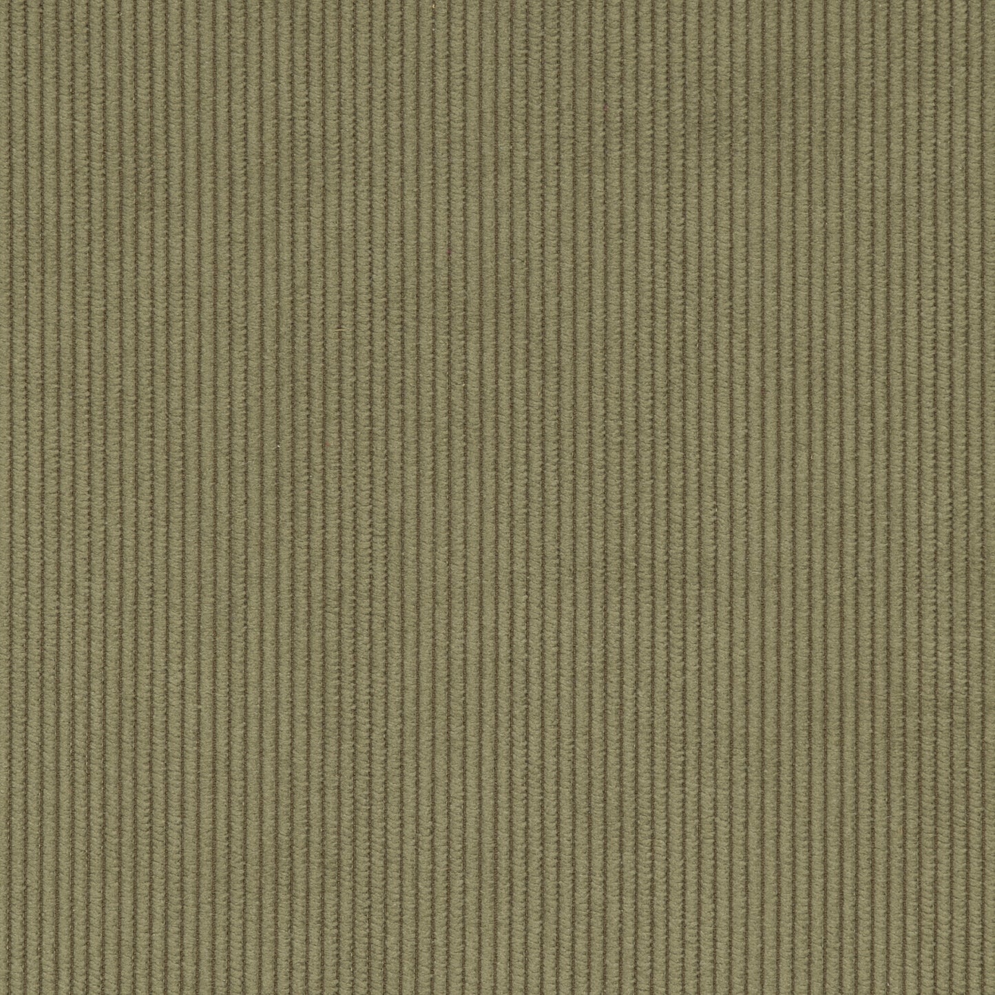 Cord Olive