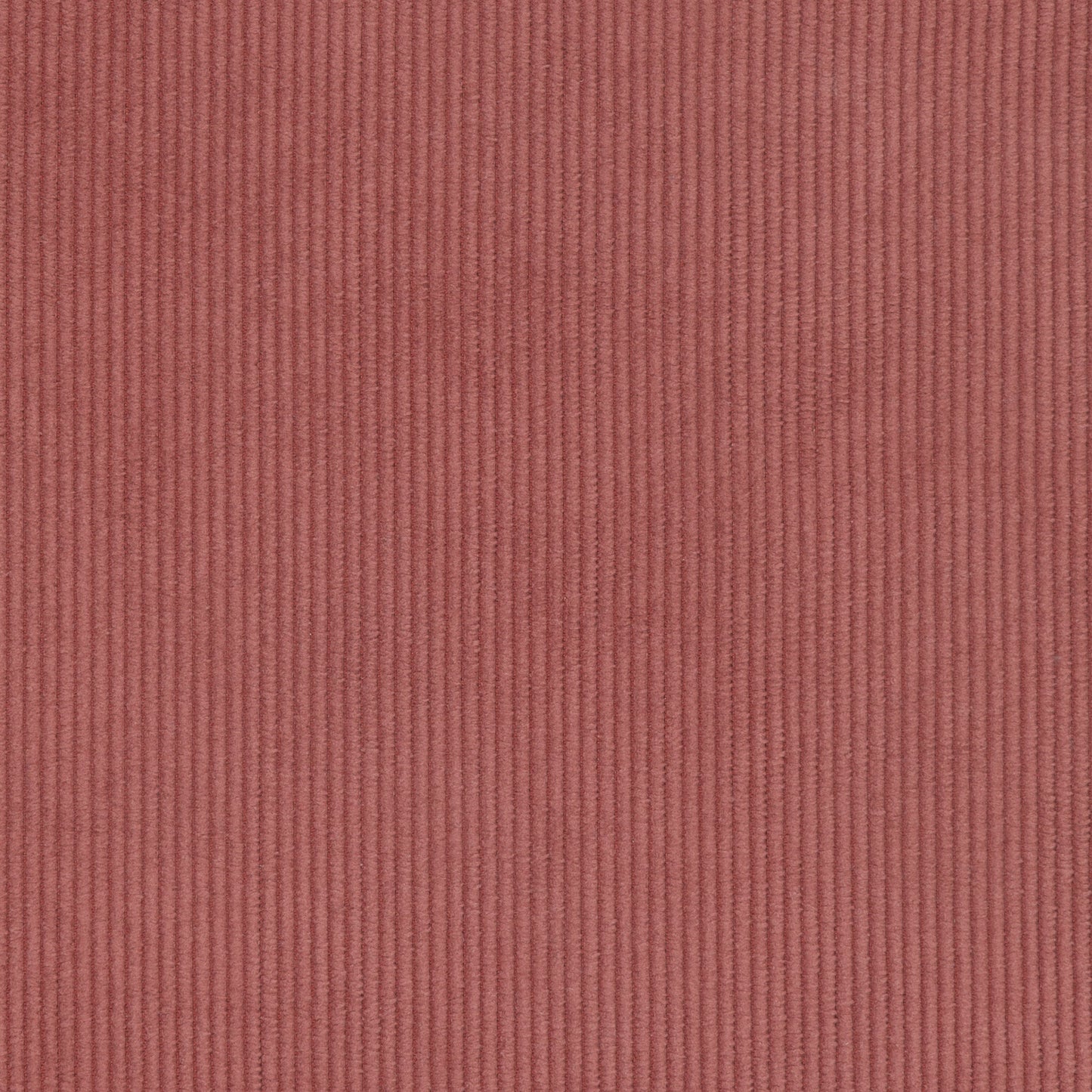 Cord Rose