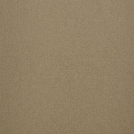Cairngorm Plain Taupe