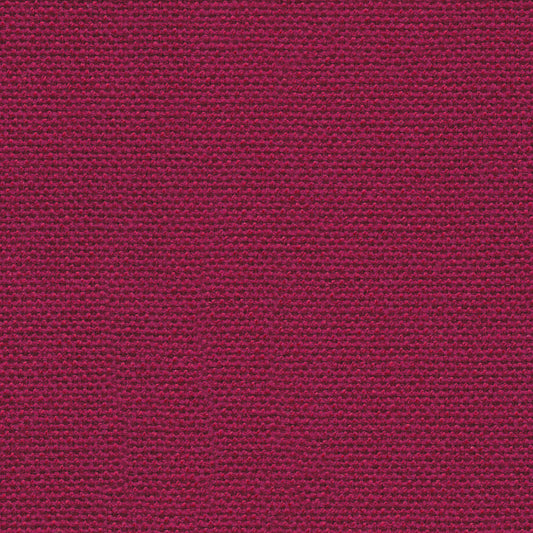 Main Line Plus Claret
