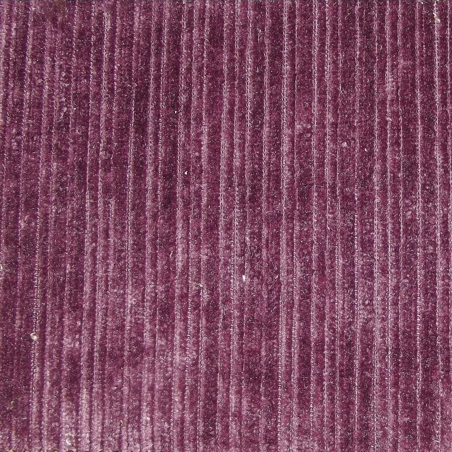 Pastiche Rib Amethyst