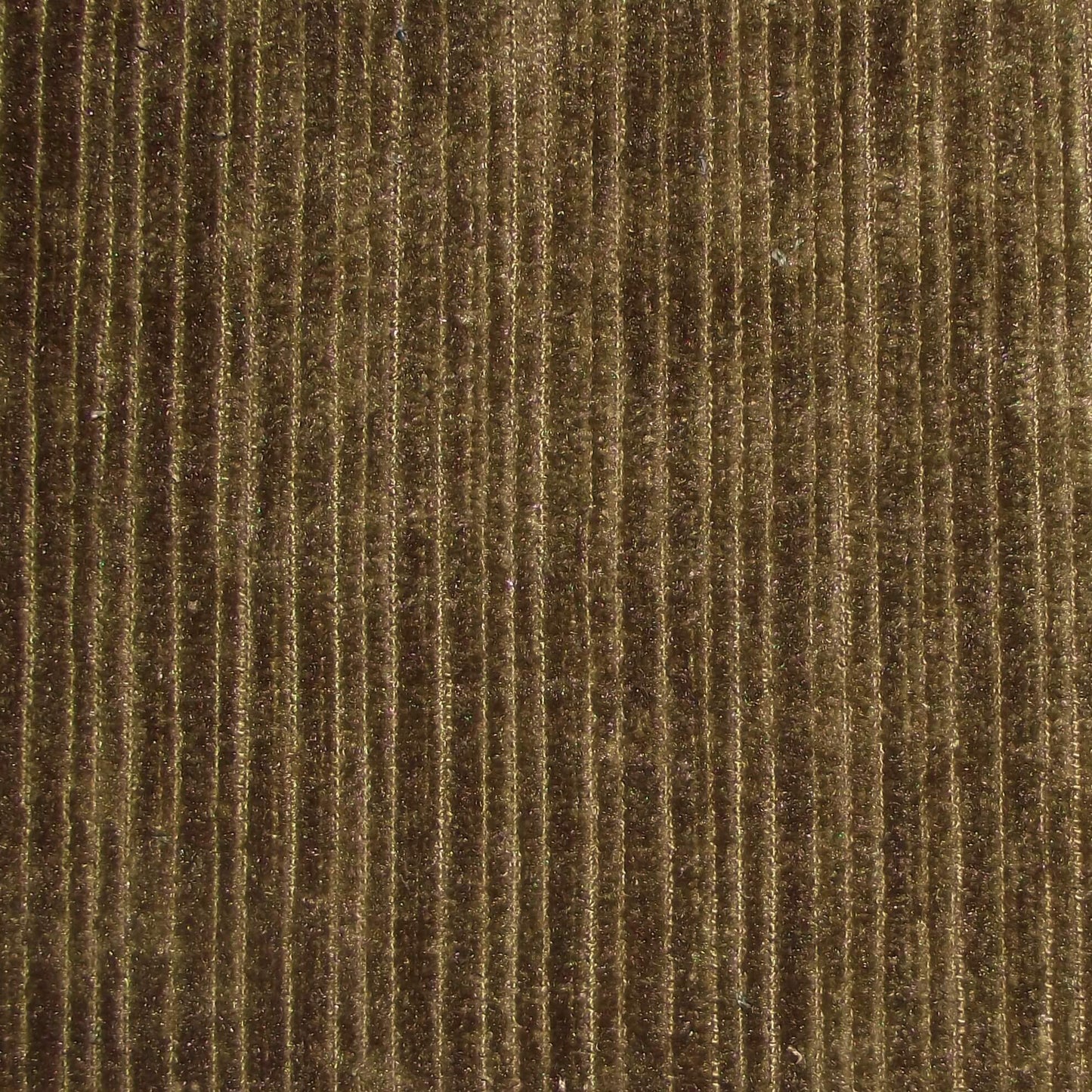 Pastiche Rib Moss
