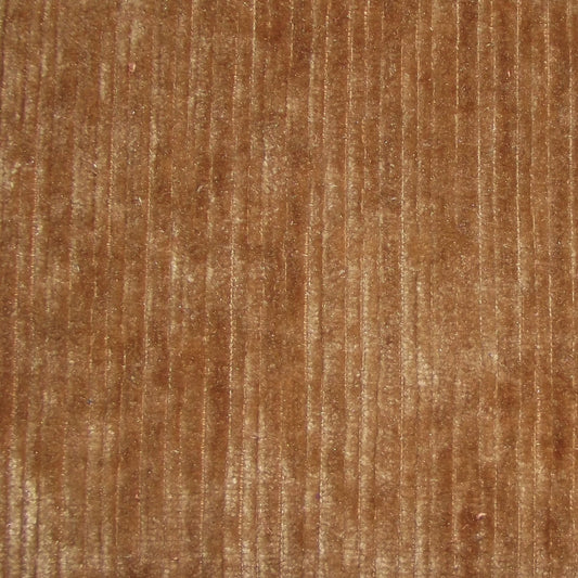 Pastiche Rib Nutmeg